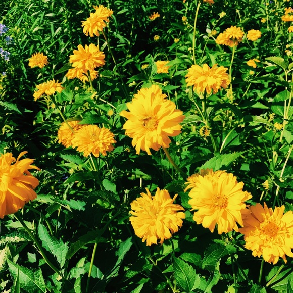 Hello! - Picture 1 of 1